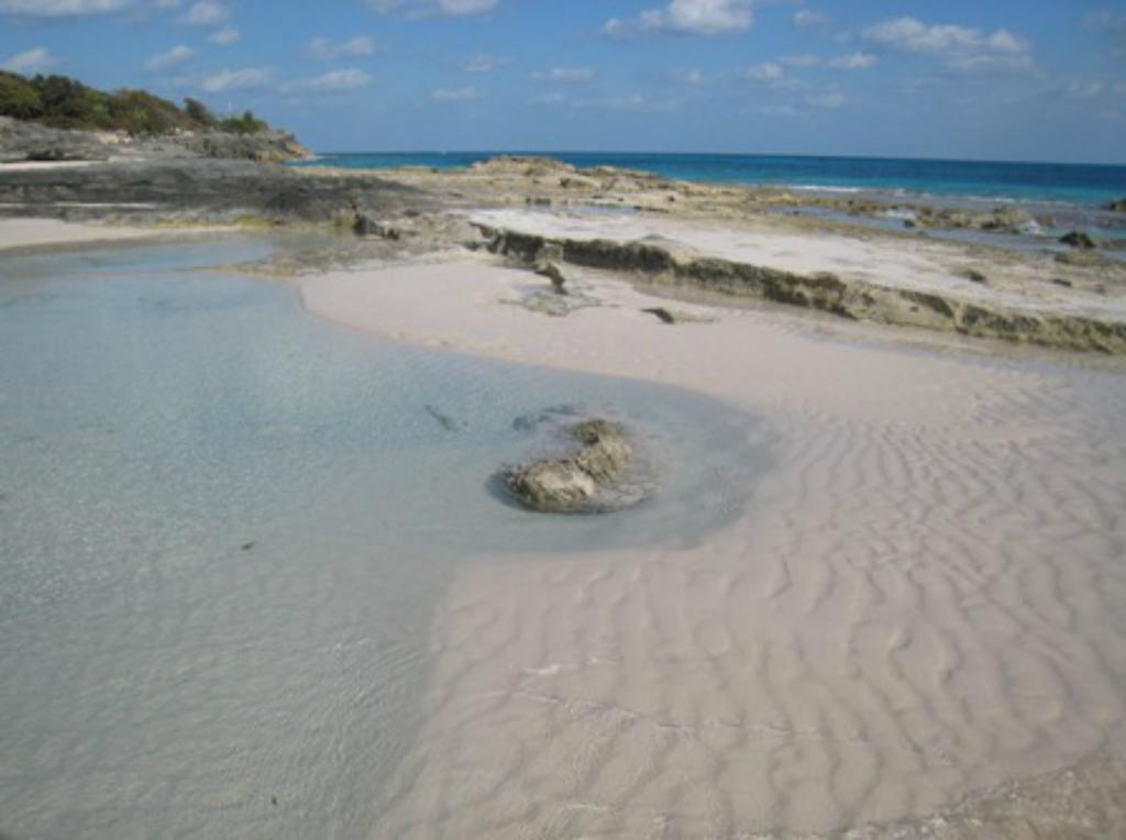 Grape Bay Cottages Mount Pleasant Esterno foto